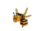 Wasp